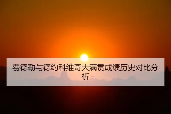 费德勒与德约科维奇大满贯成绩历史对比分析